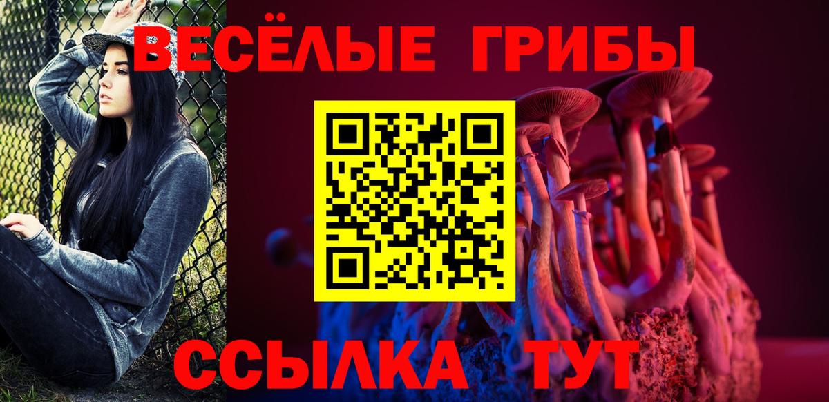 Псилоцибиновые грибы GOLDEN TEACHER  Галлюциногенные грибы GOLDEN TEACHER  Вход с VPN  Мценск 